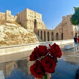 جروب تبادلات سوريا