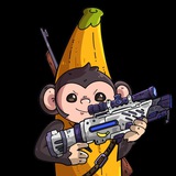 Ape