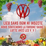 Les insectes hors de nos assiettes