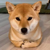 Loaf Portal