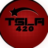 TSLA420