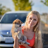 Irina Valko ~ Mother of Shiba Inu $IRINA