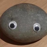 Pablo the rock