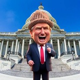 TrumpWifHat • Entry