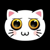 KIKI CAT Global Chat | ANNOUNCEMENT 📢
