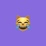 😹😺🙀😿😽😸😻😾😼