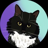 Petrushka $PET Community
