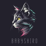 Babyshiro 🚀🚀🔥🔥💸💸