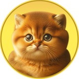 Passionate kitten PTM official Group