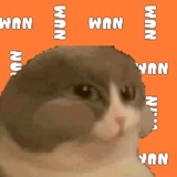 num num num num