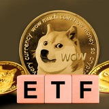 DOGE ETF Official