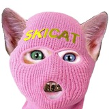 ski mask cat portal