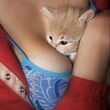 Queen Pussy