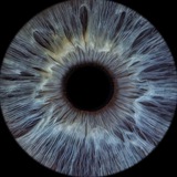 Свет Очей 👁️
