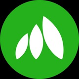 Mynth