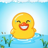 The Duck $DUCK