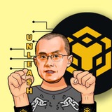 Unleash BNB - Official Portal