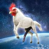 erect chicken horse in space. CTO