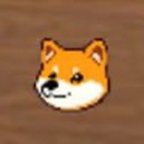 DOGE SURVIVOR