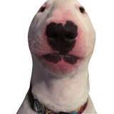 WALTER | Portal
