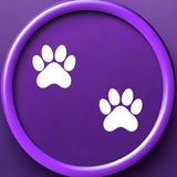 DOGS OUT
