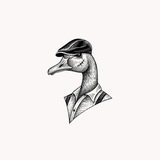 cheif.ssq