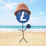 $WLESTER | WIF LESTER