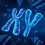 Chromosome