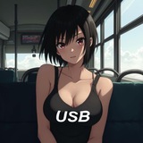 Universal Sex Bus $USB