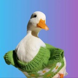 $Ducks In Space Portal