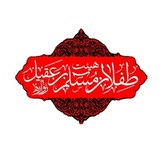 (هیئت طفلان مسلم عقیل زواره)
