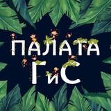 Палата обезьян 🙈🙉🙊