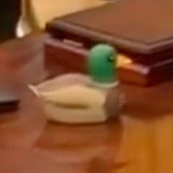 $OvalDuck | Donalds Duck