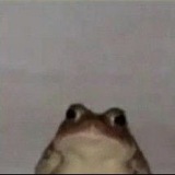 GUS