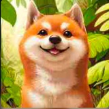 KOA