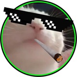 Vibing Cat | $VIBE