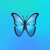 mavro20 🦋 токен ZHCash
