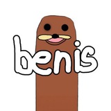 BenisCoin cto