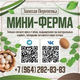Мини - ферма «Золотая перепелка»