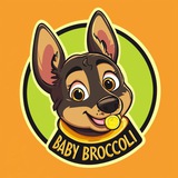BabyBroccoli ~ BSC