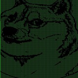 DOGE HUD