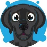 Dog Trade
