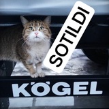 SOTILDI FURA BOZOR