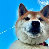$hoshi portal