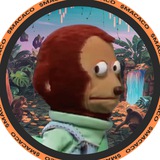 $MACACO COMMUNITY