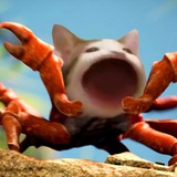CRAB POPCAT - PORTAL