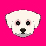 Abe - Uniswap Dog
