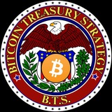 Bitcoin Treasury Strategy BTS