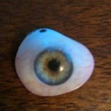 OneEyedDev