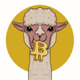 Alpaca - First Bitcoin mascot